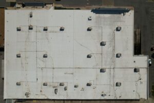 Navigating a Transformative Year